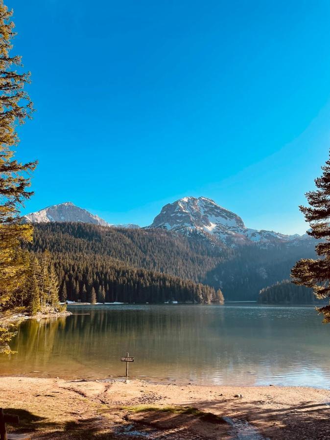 Holiday Home Apartman Aco Žabljak エクステリア 写真